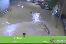 Disdamkartan Kutim imbau warga waspada saat banjir kemunculan buaya