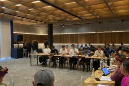 Tantowi setuju cabut nama Jalan KEK Kura-kura Bali