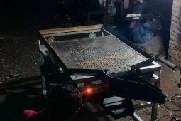 Mahasiswa UMM rancang inovasi alat sortir biji kopi