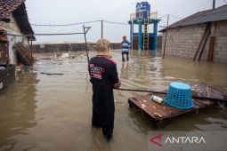 BPBD menetapkan status tanggap darurat banjir rob di Indramayu