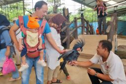 Semarang Zoo dikunjungi 5.411 wisatawan selama libur panjang akhir Januari 2025