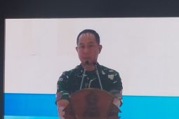 Panglima TNI ubah taktik tempur hadapi OPM