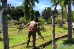 Dinas Satpol PP Mukomuko bongkar kapling ilegal di lokasi pameran UMKM