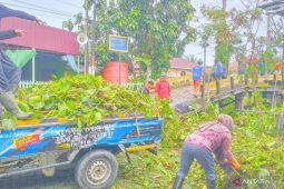 Sungai Pemurus Banjarmasin perlu dinormalisasikan