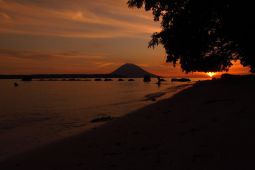 'Hunting Tarsius' tarik wisatawan ke Bunaken