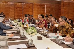 Wamen LH dan Menteri UEA bahas kerja sama lingkungan