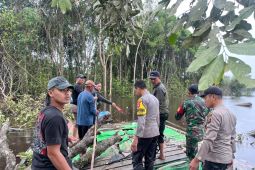 Dua pekerja tambang emas ilegal di Suhaid Kalbar tewas tertimpa pohon