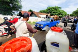 Ternak sapi dari luar daerah dilarang masuk pasar hewan di Situbondo