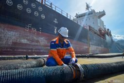 Peningkatan harga CPO disebabkan penurunan suplai dari Sumatera
