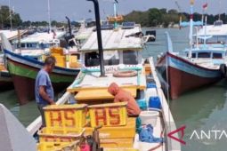 Produksi ikan di PPN Sungailiat capai Rp92 miliar lebih