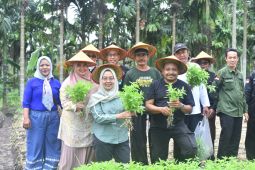 Pj Wali Kota Jambi dorong masyarakat bangun kampung wisata
