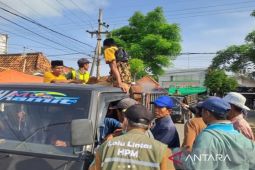 DKPP Pamekasan lakukan pengendalian PMK dari rumah ke rumah