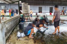 Puluhan orang terjaring pesta miras di Surabaya jalani sanksi sosial