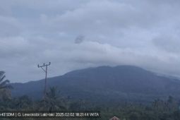 Gunung Lewotobi Laki-laki  di Flores Timur NTT kembali erupsi dua kali pada Minggu