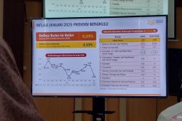 BPS: Diskon tarif listrik berpengaruh besar redam inflasi