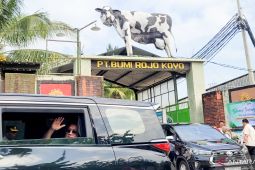 Zulhas sebut Indonesia butuh investasi majukan sapi perah