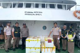 Petugas Karantina  amankan daging babi ilegal di Ternate
