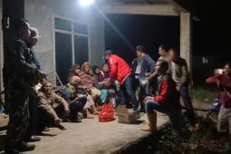 Harimau sumatera kembali meresahkan warga Lampung Barat