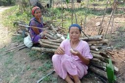 Untuk memasak, sejumlah warga pedalaman Lebak gunakan kayu bakar