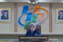 BPS: Potensi produksi beras Januari-Maret capai 8,67 juta ton