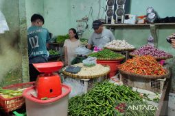 Harga cabai merah di Kota Bengkulu capai Rp70 ribu per kilogram
