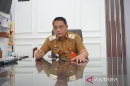 Pemprov Kalsel upayakan peningkatan investasi selain di pertambangan