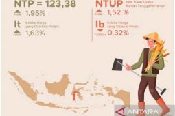 NTP Sulsel Januari 2025 naik 1,95 persen