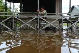 Banjir landa dua kecamatan di Kubu Raya