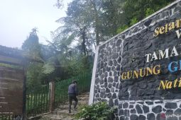 Puluhan pendaki ilegal di Gunung Gede Pangrango diberi sanksi