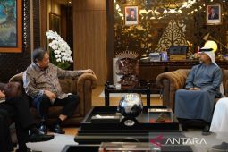 Bahas kerja sama sektor energi, Menko Airlangga bertemu Menteri Energi UE