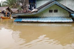 BPBD Sambas Kalbar distribusi cadangan beras pemda 20 ton untuk korban banjir