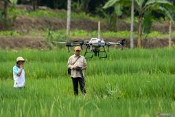 Malaysia ingin belajar teknologi pertanian dengan Indonesia