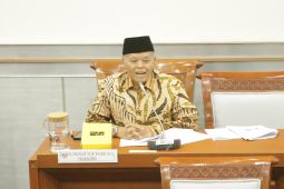 DPR RI dorong koordinasi lintas komisi soal pembatasan internet anak