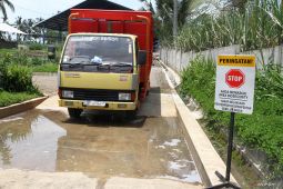 Upaya peternak sapi modern mengatasi wabah PMK di Malang