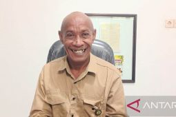 DKPP Kaimana petakan kawasan zona sayur untuk dukung program MBG
