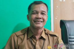 Koperasi siap remajakan sawit rakyat di Mukomuko