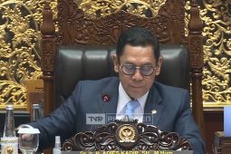 DPR setujui naturalisasi Geypens, Markx, dan Romeny