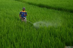 Nilai tukar petani Jawa Timur naik