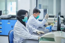 Metode kolonoskopi jadi deteksi dini bedakan wasir dan kanker