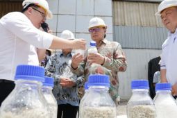 BPOM percepat sertifikasi industri garam farmasi penuhi kebutuhan nasional