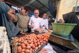 Zulhas dan Mendag tinjau harga pangan jelang Ramadhan