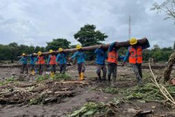 PLN sigap pulihkan kelistrikan pasca-banjir bandang di Bima