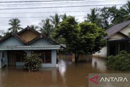 PT WKS turunkan alat berat bantu korban banjir di Tanjabtim