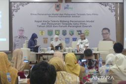 Kalsel sinergikan pengembangan investasi dengan misi gubernur terpilih