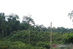 KPH Mukomuko dampingi polisi terkait masalah perambahan hutan