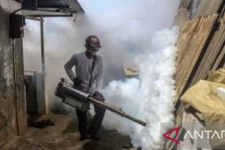 Dinkes Purwakarta imbau agar masyarakat waspadai risiko penyakit DBD