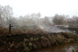 BPBD: 22 titik di Aceh Barat rawan terjadi Karhutla, warga diminta tak bakar lahan