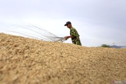 Ekonomi Gorontalo tumbuh 4,13 persen pada tahun 2024