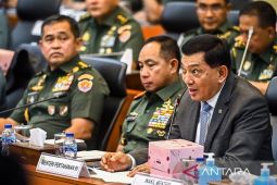 Menhan: TNI memiliki Satuan Siber, bukan matra siber