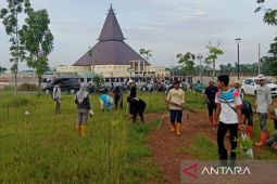 Kalsel tanam 800 bibit Eucalyptus alba di area Forest City
